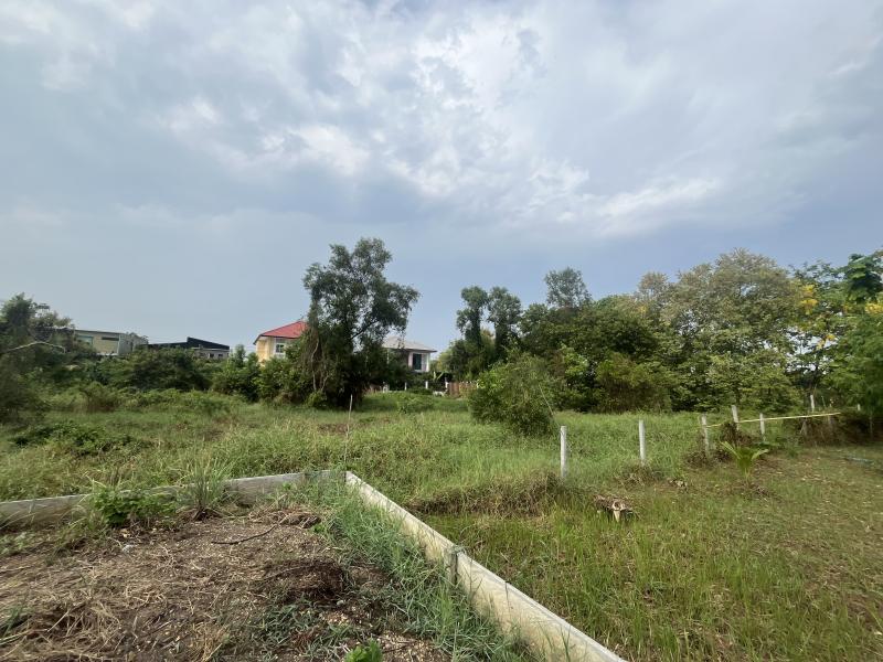 รูปภาพประกาศ